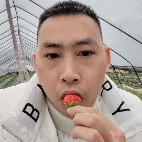 38岁岁贵州单身帅哥 - 来宾吉缘网