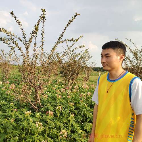 37岁岁广东单身帅哥 - 来宾吉缘网